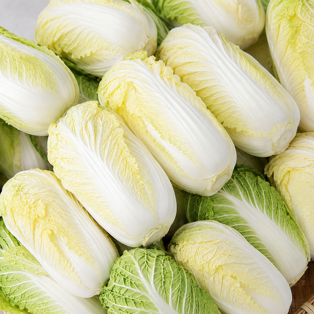 한 장 한 장 달큰한 속이 꽉 찬 알배기 배추 대표이미지 섬네일