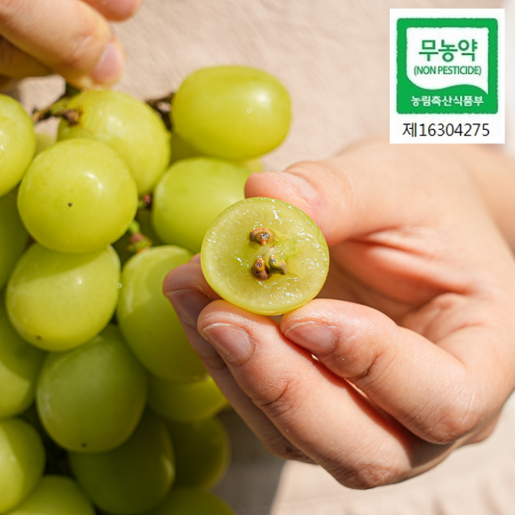 무농약인증 샤인머스켓 1.5kg 3송이 구성 대표이미지 섬네일