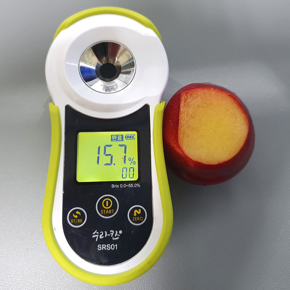 산지직송 노지 대석 자두 1kg/2kg/3kg/4kg