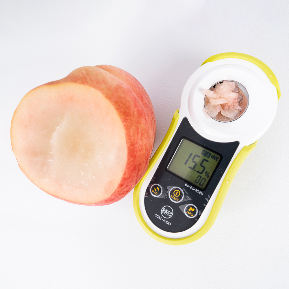 [6/29일 예약발송] 쫀득한 대극천 명품 복숭아 중소과 로얄과 1kg/2kg/4kg