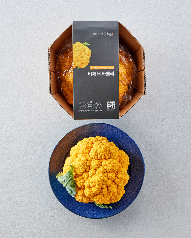 비채 베타콜리(1입, 400g 이상)