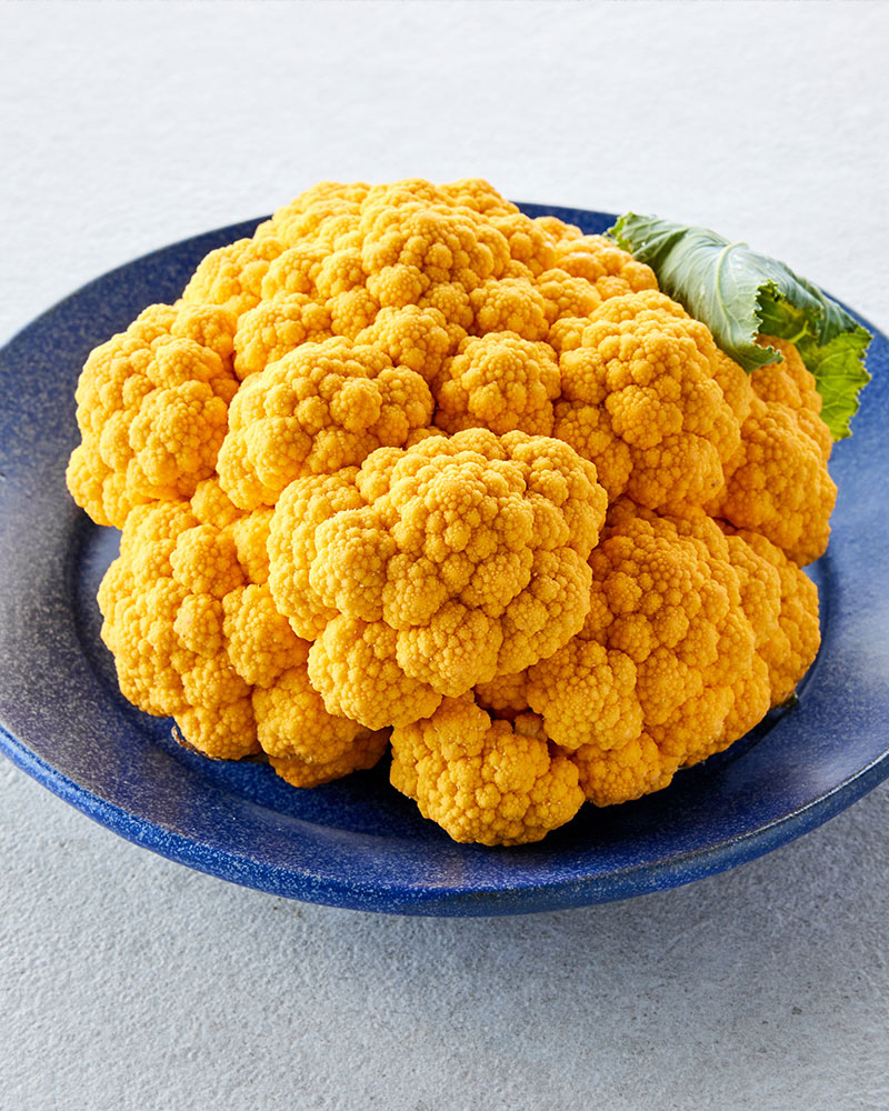 비채 베타콜리(1입, 400g 이상)