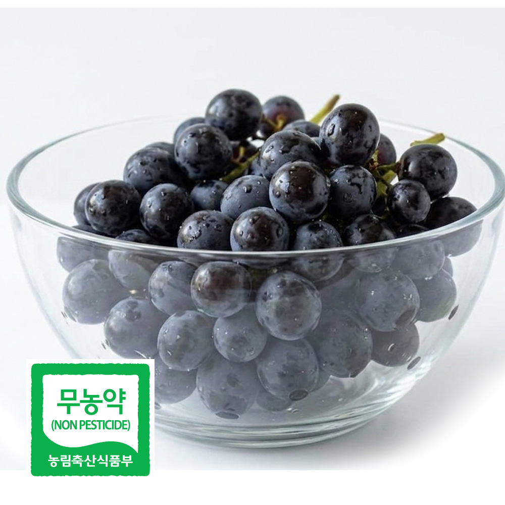 국내산 무농약 블랙펄 포도 씨없는 고당도 프리미엄 SG 블랙사파이어 가지포도