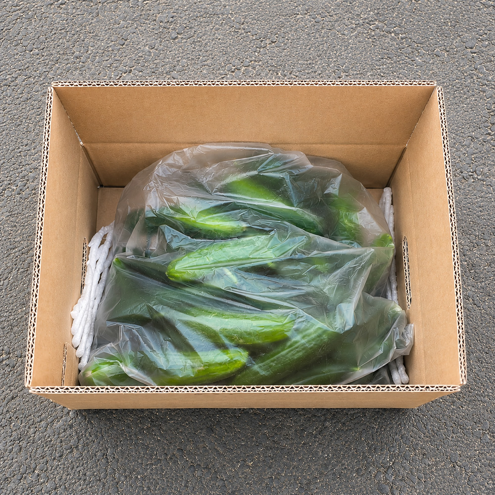 국내산 미니오이 500g 외 신선한 스낵오이 피클 생식용 산지 발송 LD