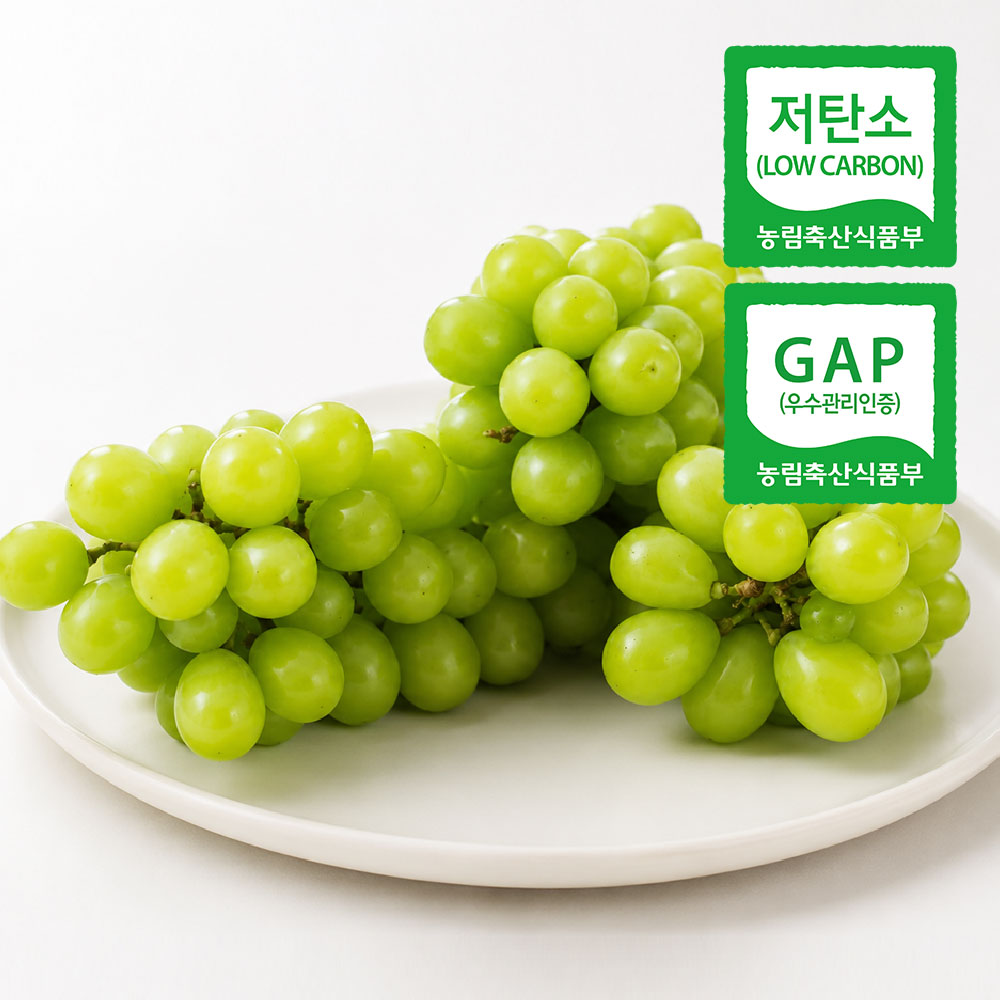 고당도 프리미엄 저탄소 샤인머스켓 대표이미지 섬네일