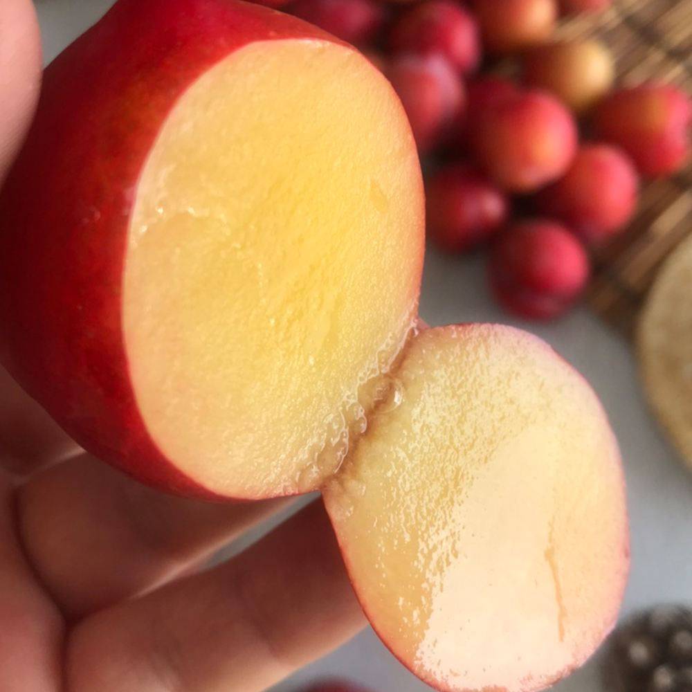 새콤달콤 제철 노지 후무사 자두 1kg 2kg 3kg 4.5kg