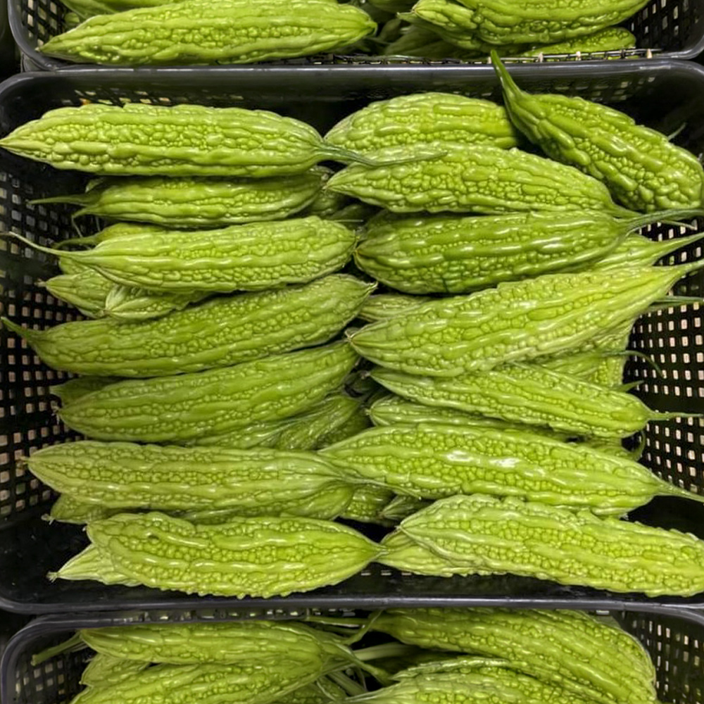 생 여주 1kg 국내재배 베트남 여주 Kho Qua 비터멜론 동남아 식재료