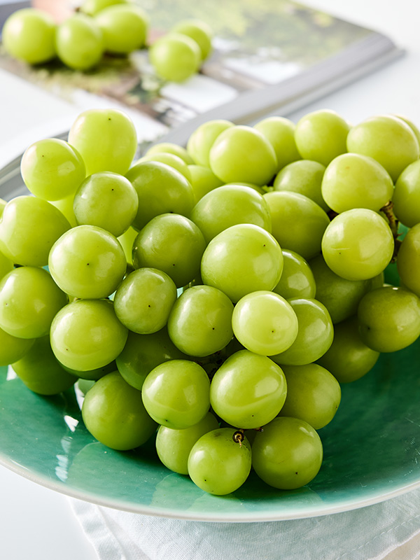 국산 샤인머스캣 1kg
