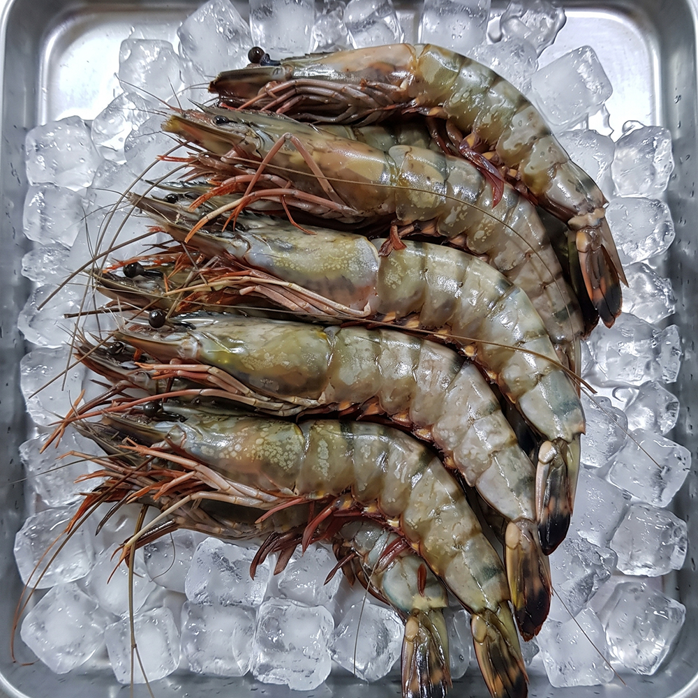 감칠맛 한입에 꽉 간장새우장 블랙타이거 새우장 800g