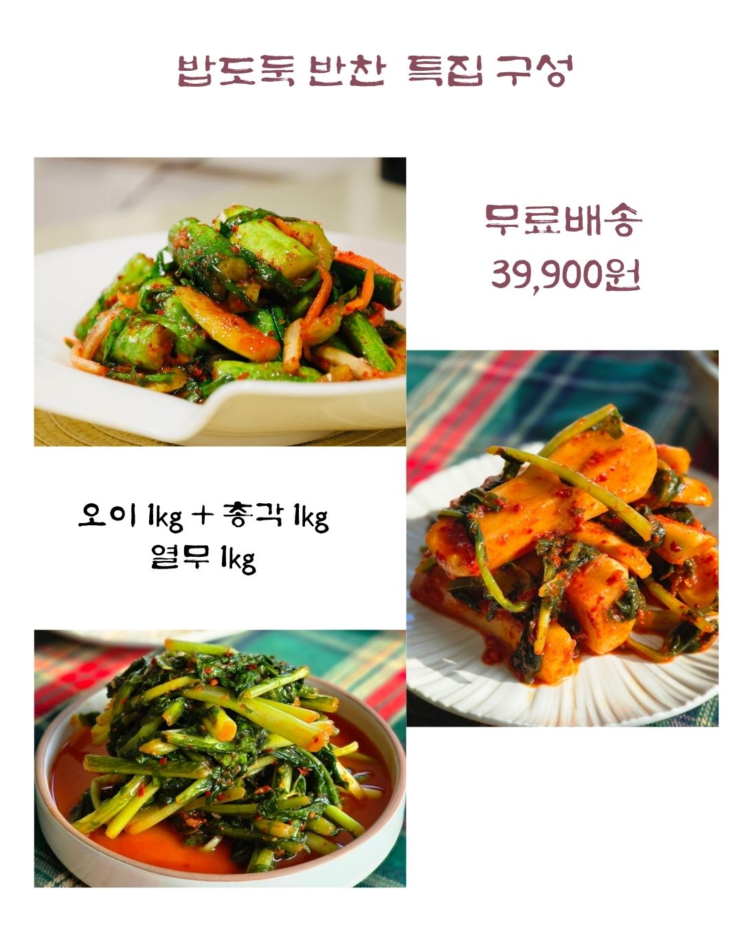 프리미엄 중부식 지애김치