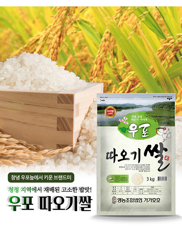 가가호호 우포 따오기쌀