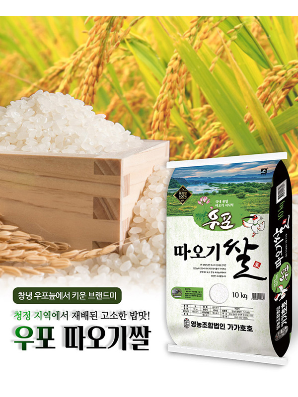 가가호호 우포 따오기쌀