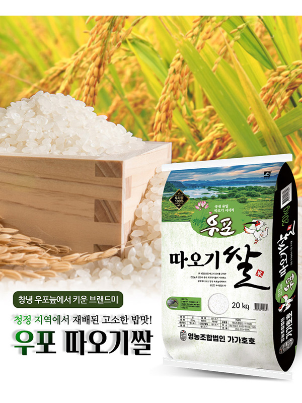 가가호호 우포 따오기쌀