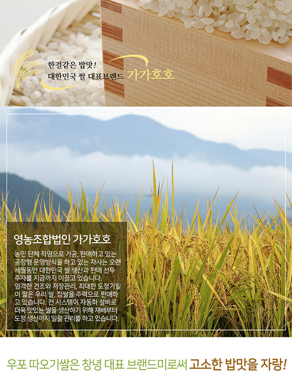 가가호호 우포 따오기쌀