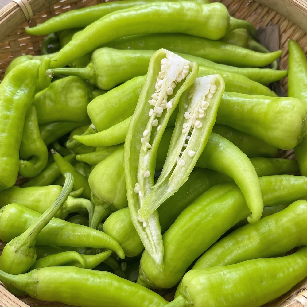 혈당 조절 아삭하고 달큰한 당조 고추 500g 1kg
