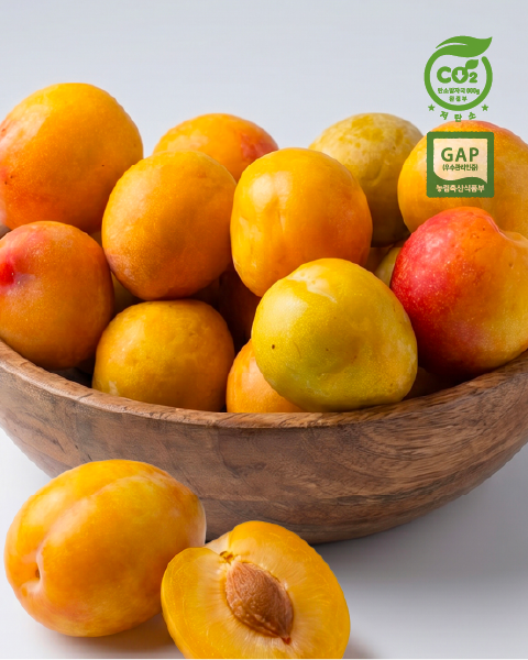 새콤함과 과즙이 살아있는 자두 1kg 2kg