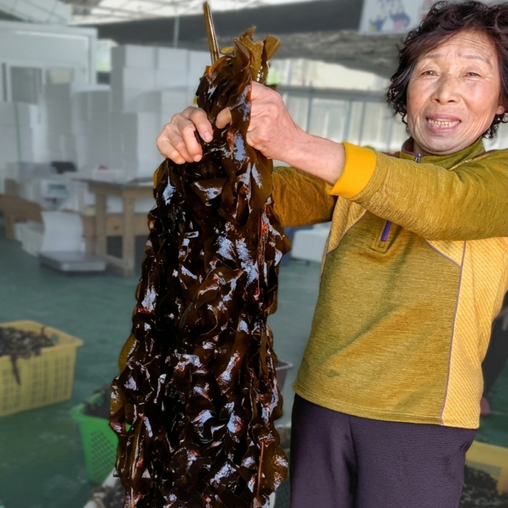 남해 해녀 채취 자연산 손질 생 돌미역 물미역 600g (300g×2팩) 외 급속냉동 산지직송 해녀언니