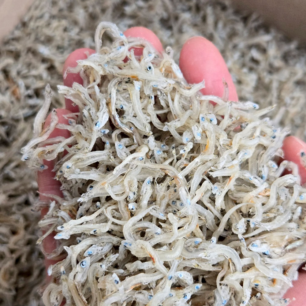 국내산 짜지않은 최상급 햇 지리멸치 1.5kg 볶음용멸치