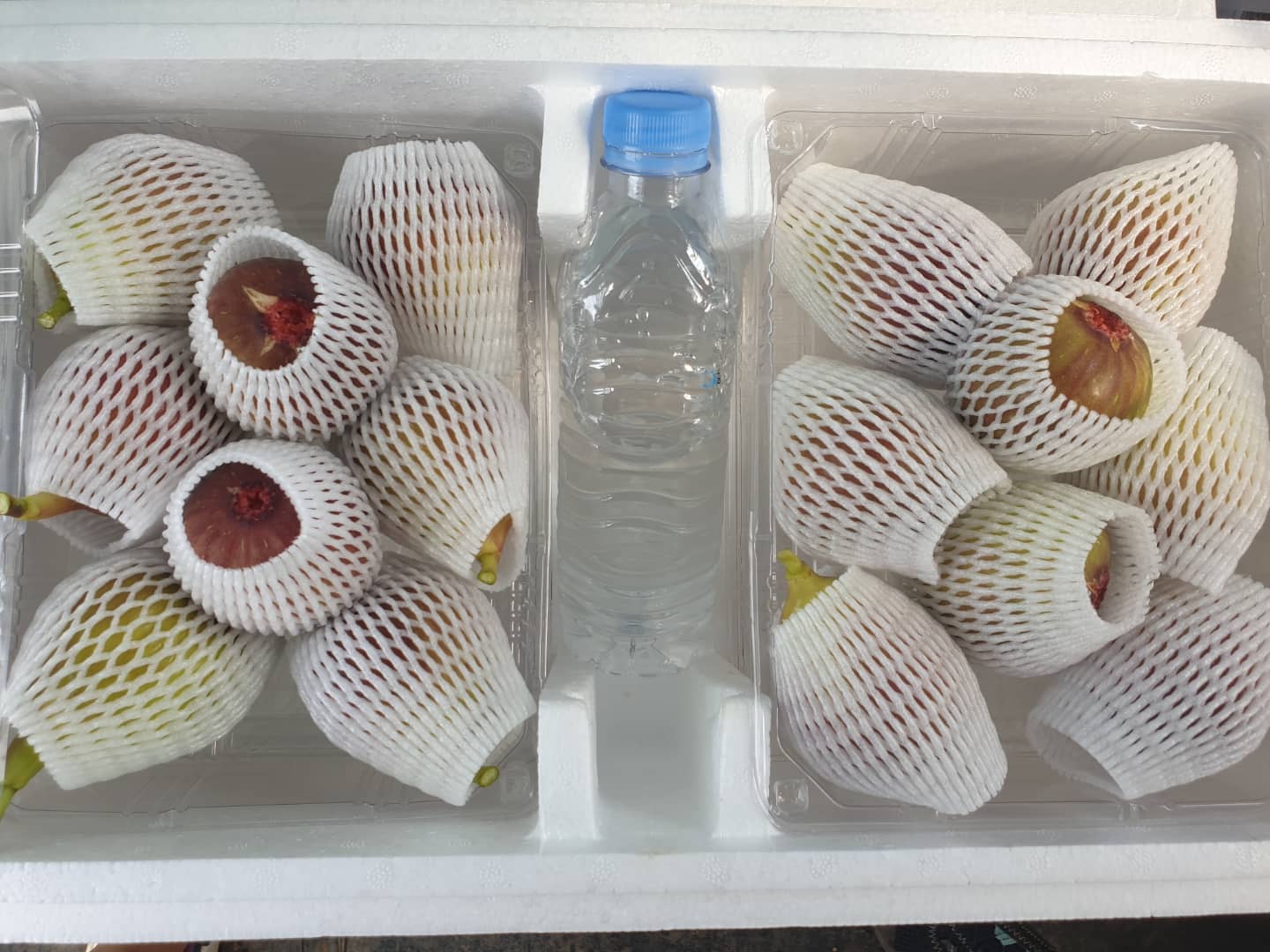[GAP인증] 홍무화과/청무화과 말랭이 1kg (1개) 봄봄농원