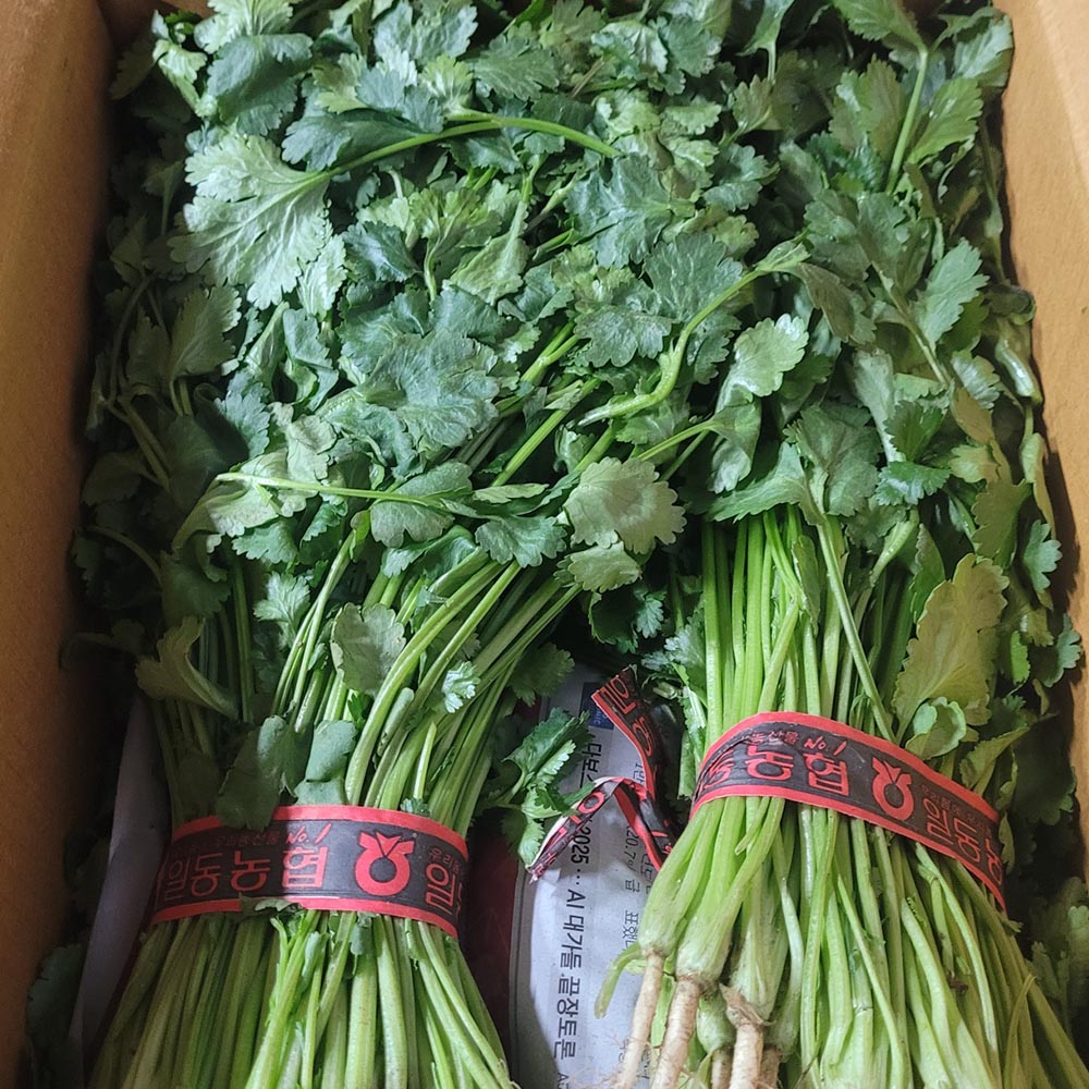국내산 천연 향신료 고수 300g 600g