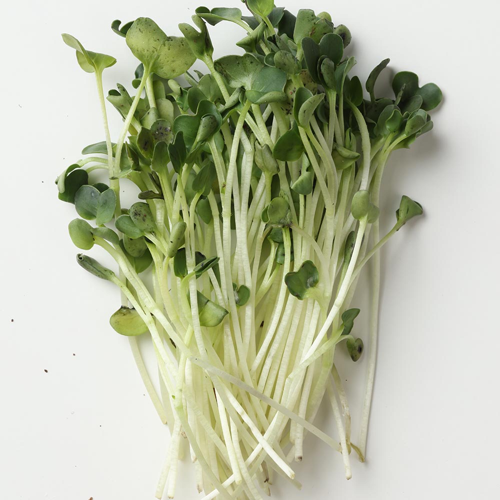 국내산 곁들임 채소 무순 1팩당 50g  150g