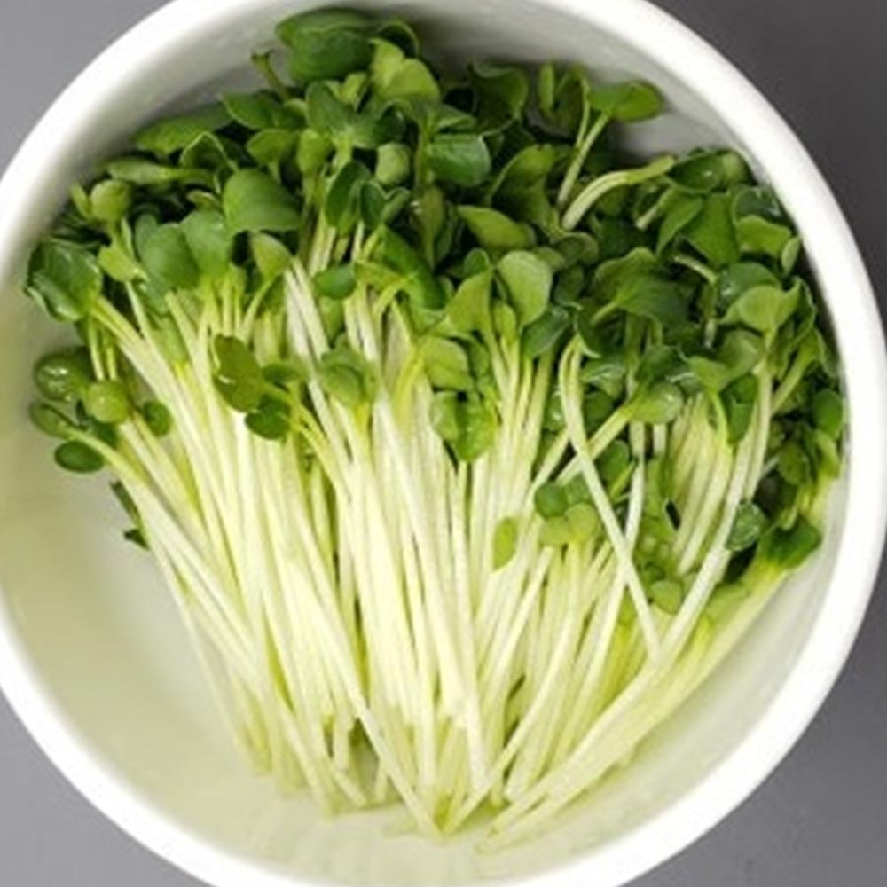 국내산 곁들임 채소 무순 1팩당 50g  150g