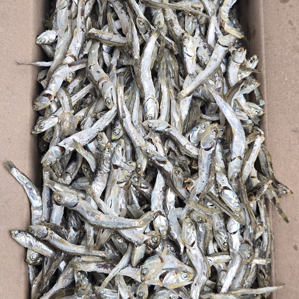 국내산 국물용 햇 주바멸치 1.5kg 육수용 멸치 대표이미지 섬네일