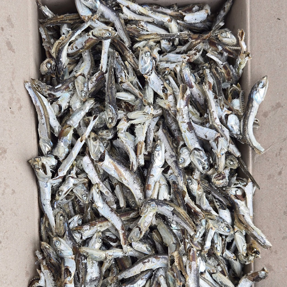 국내산 햇 다시멸치(가정용) 1.5kg 육수용 국물용 멸치