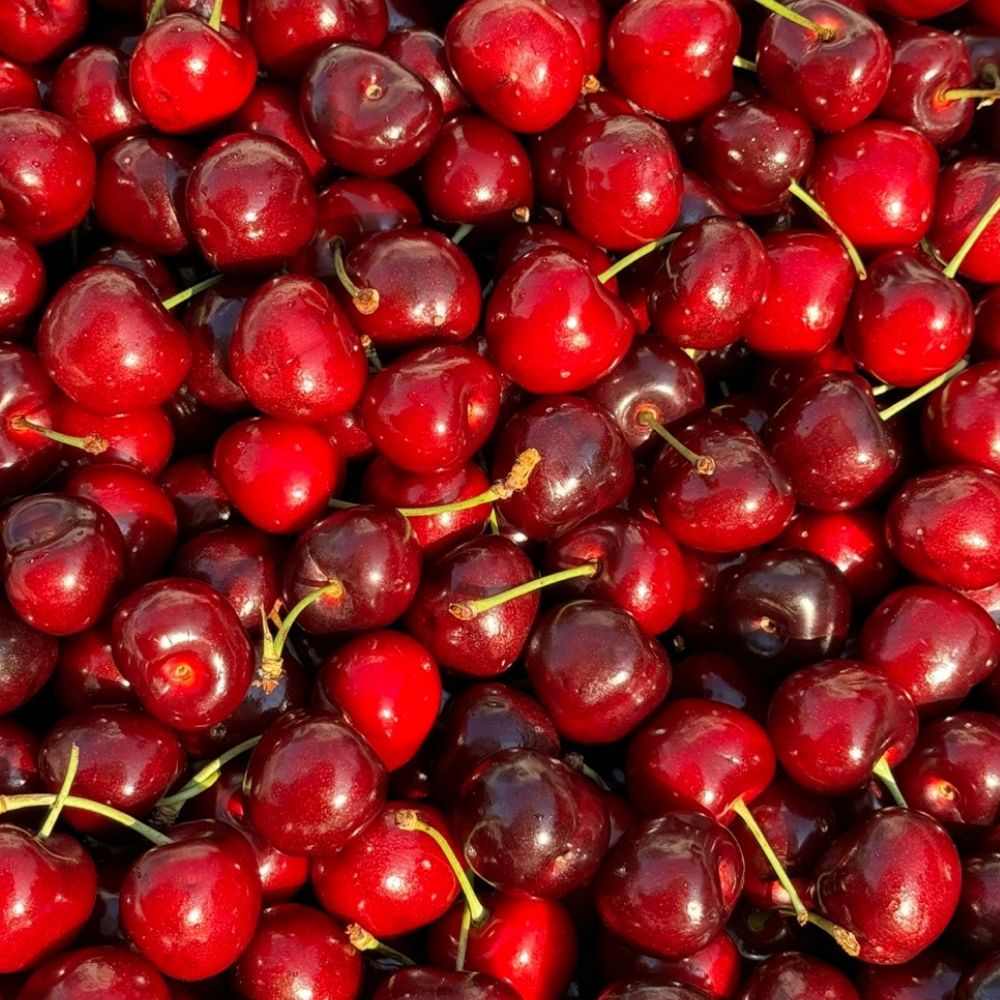 프리미엄 고당도 생체리 중량별 선택 300g 500g 1kg 2kg