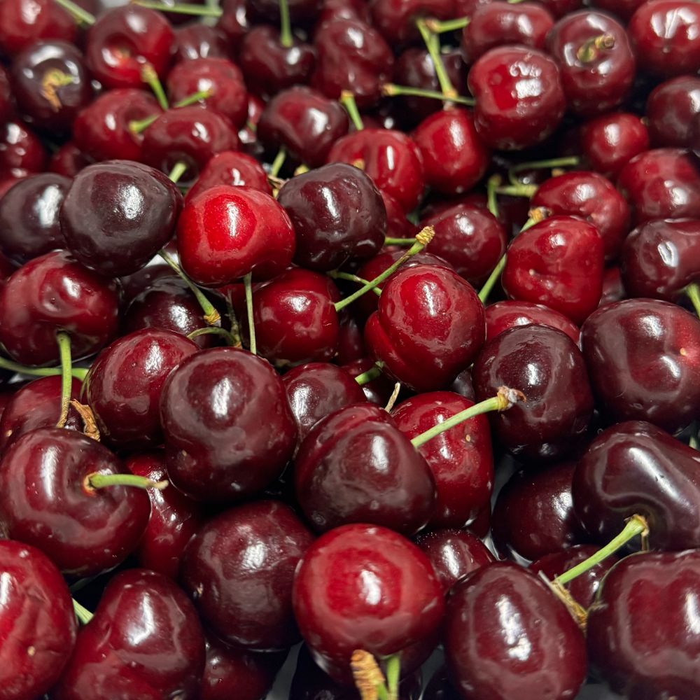 프리미엄 고당도 생체리 중량별 선택 300g 500g 1kg 2kg