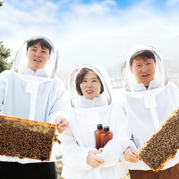 [꿀올] 국산 프리미엄 100% 천연 아카시아꿀 ( 300g / 500g / 1kg )