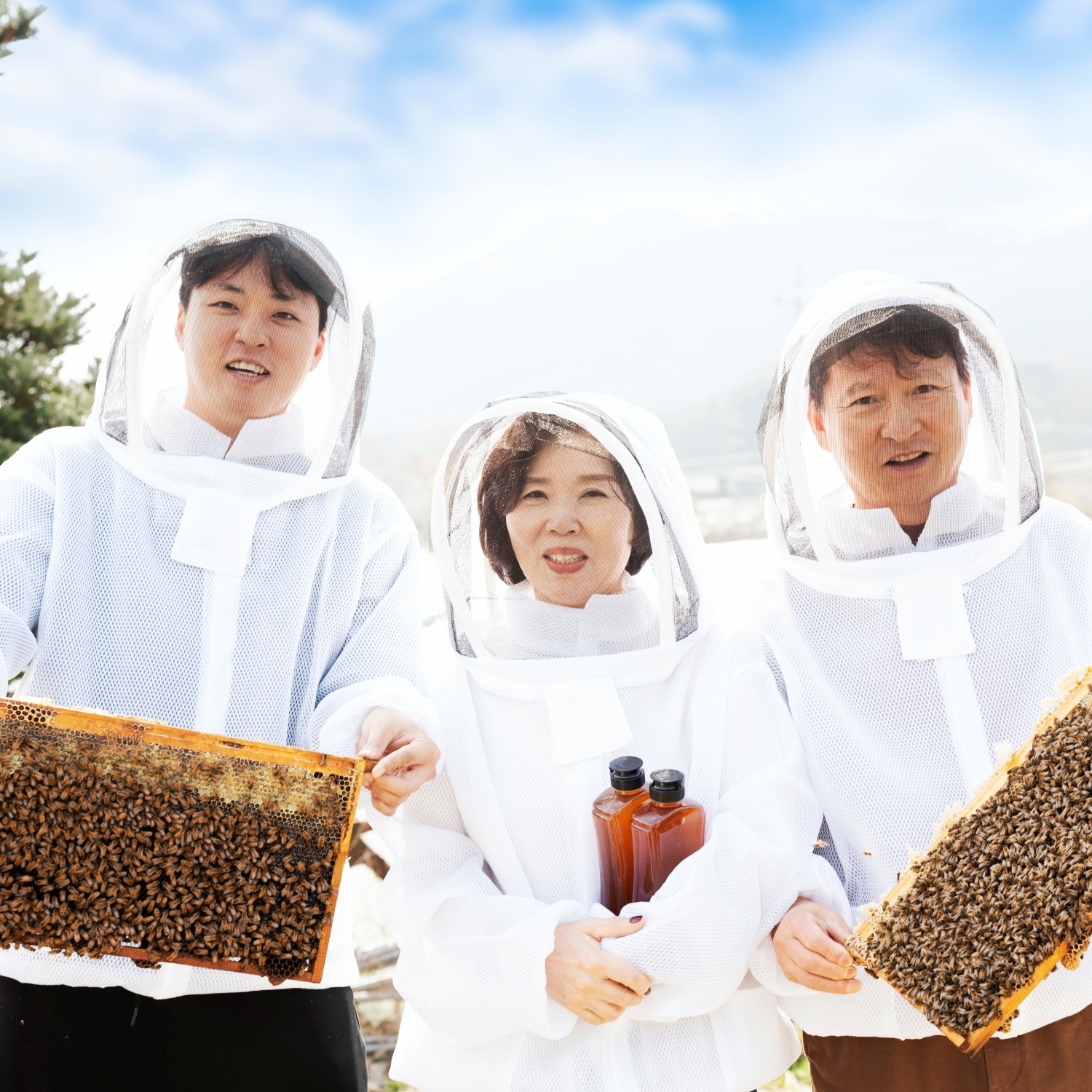[꿀올] 국산 프리미엄 100% 천연 벌꿀선물세트 (아카시아/야생화/밤, 300g x3 / 500g x3 / 1kg x2 )