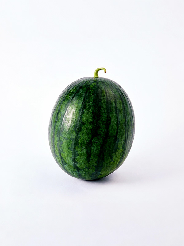 음성 참박수박(7kg이상)