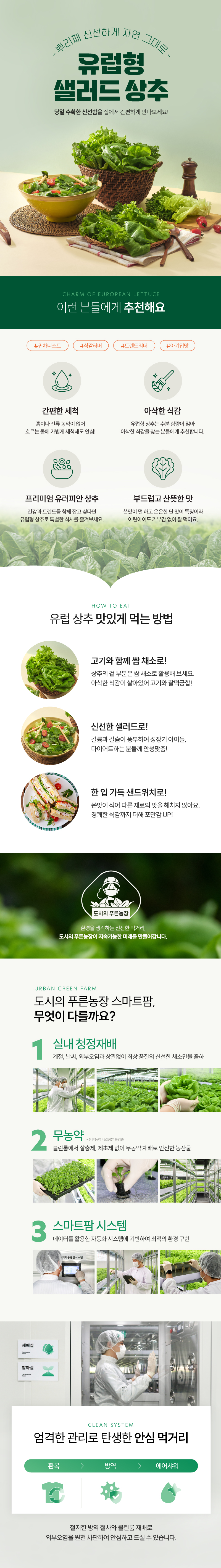 무농약 유러피안 샐러드 채소 혼합