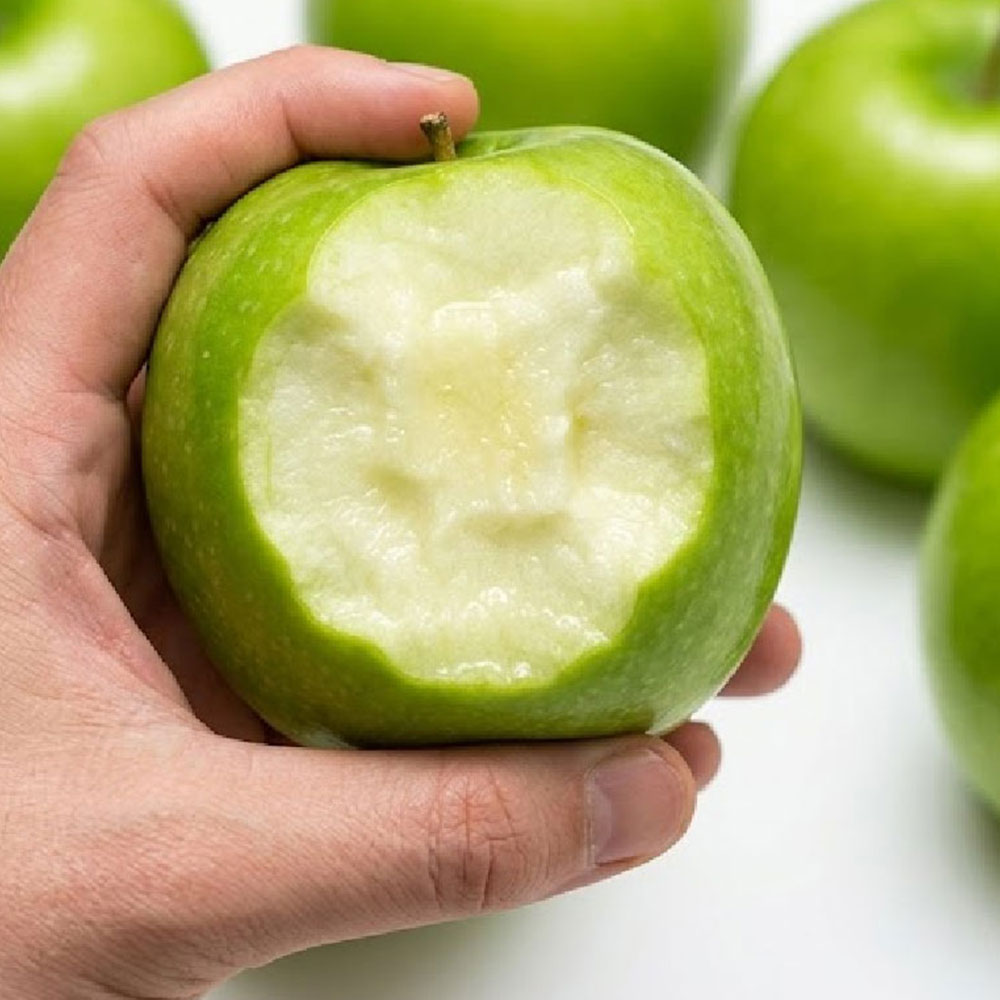 GAP 저탄소 여름풋사과 아오리사과 1kg(9입 내외)_4팩