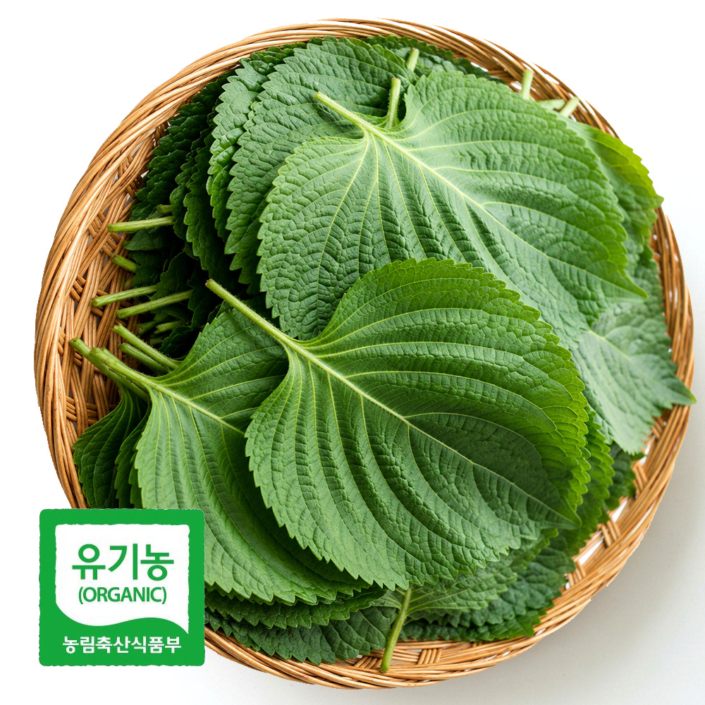 초록초록팜 국내산 유기농 깻잎 500g 외 당일수확 산지직송 향긋한 쌈채소 친환경깻잎 ZU 대표이미지 섬네일