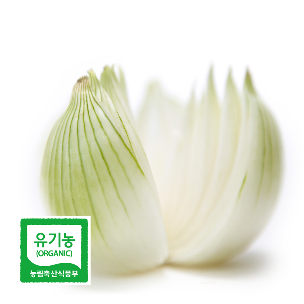 유기농 양파 중 2kg 외 국내산 아삭하고 단단한 매일 먹는 건강채소 친환경 DO