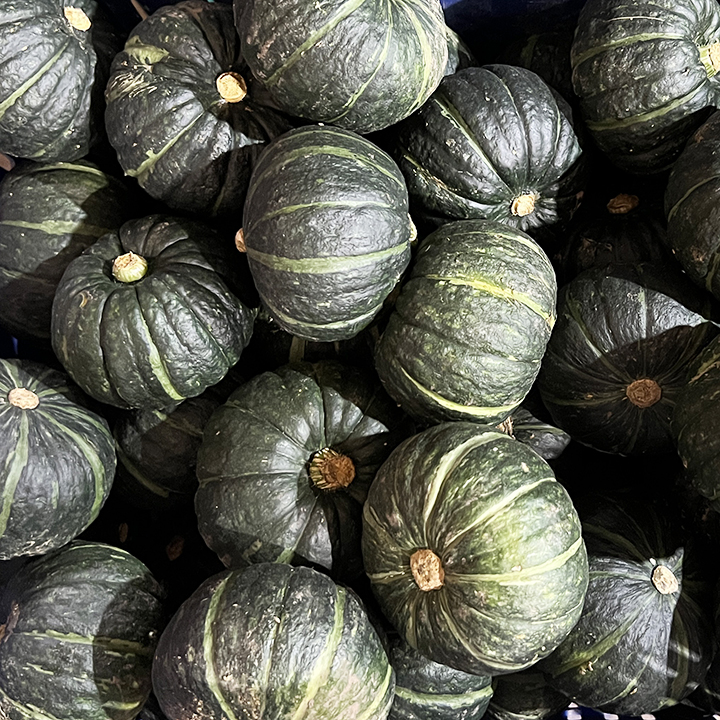 제주 밤호박 국내산 보우짱 미니 단호박 밤단호박 2~10kg