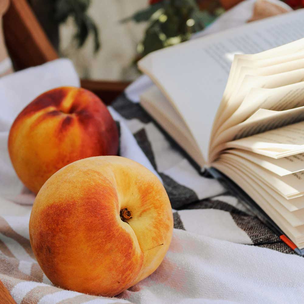 산지직송 백화점급 당도선별 털복숭아