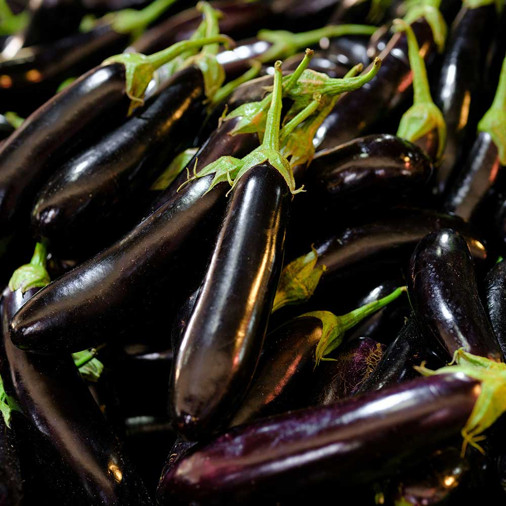 지금 가장 맛있는 제철 국내산 가지