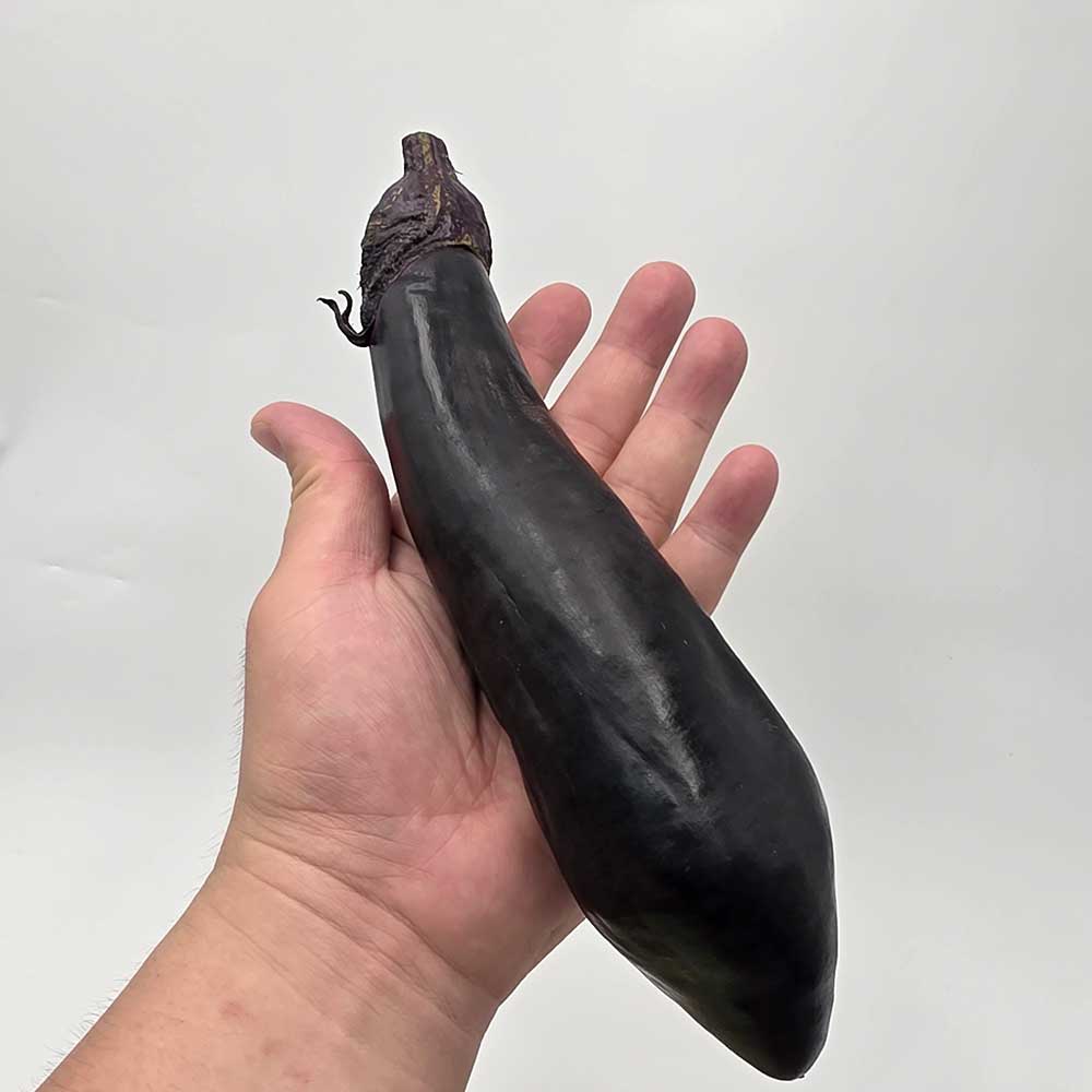 지금 가장 맛있는 제철 국내산 가지 대표이미지 섬네일