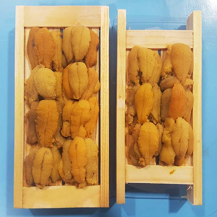국내산 포항 보라 성게알 100g 해수 목판 우니 홈마카세
