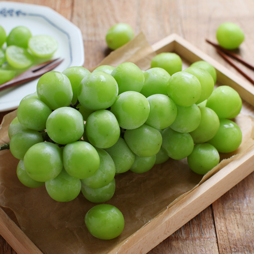 초록좋아 샤인머스캣 (1송이.600g)