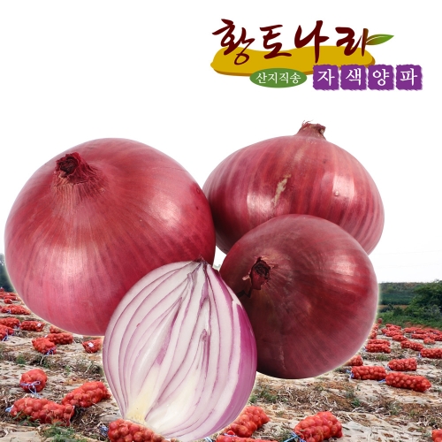 (황토나라)2026년 전남무안햇자색양파 3kg 대표이미지 섬네일