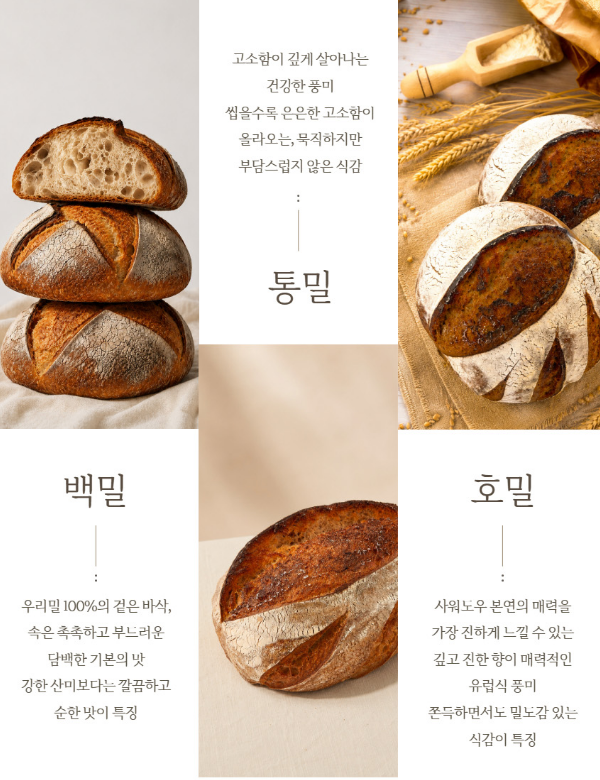 100%우리밀 진주마빵 사워도우