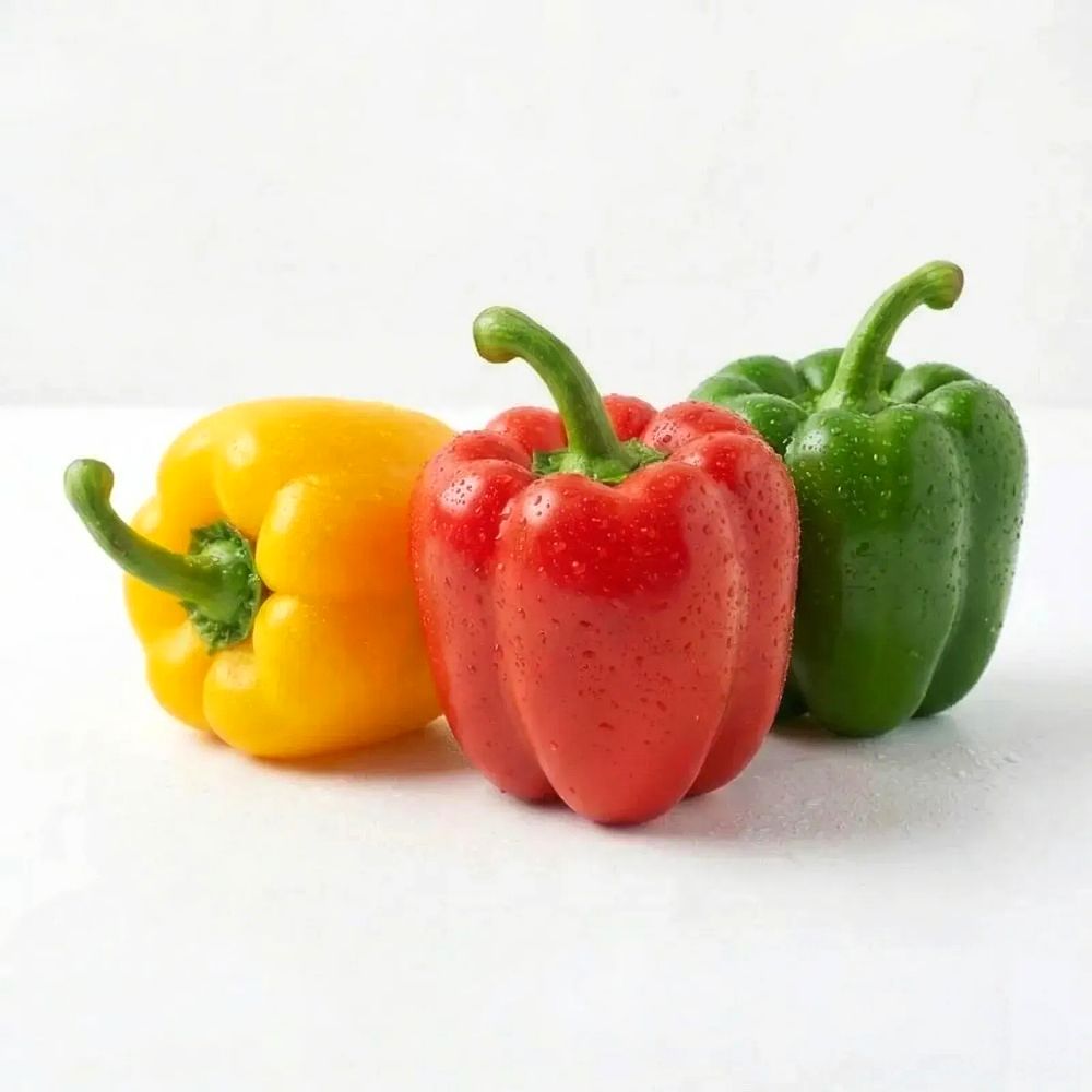 국내산 알록달록 파프리카 아삭 달콤한 신선 채소 파프리카 색상랜덤 1kg 2kg 3kg