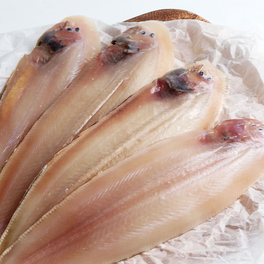 HACCP 국내가공 반건조 박대 5미 10미