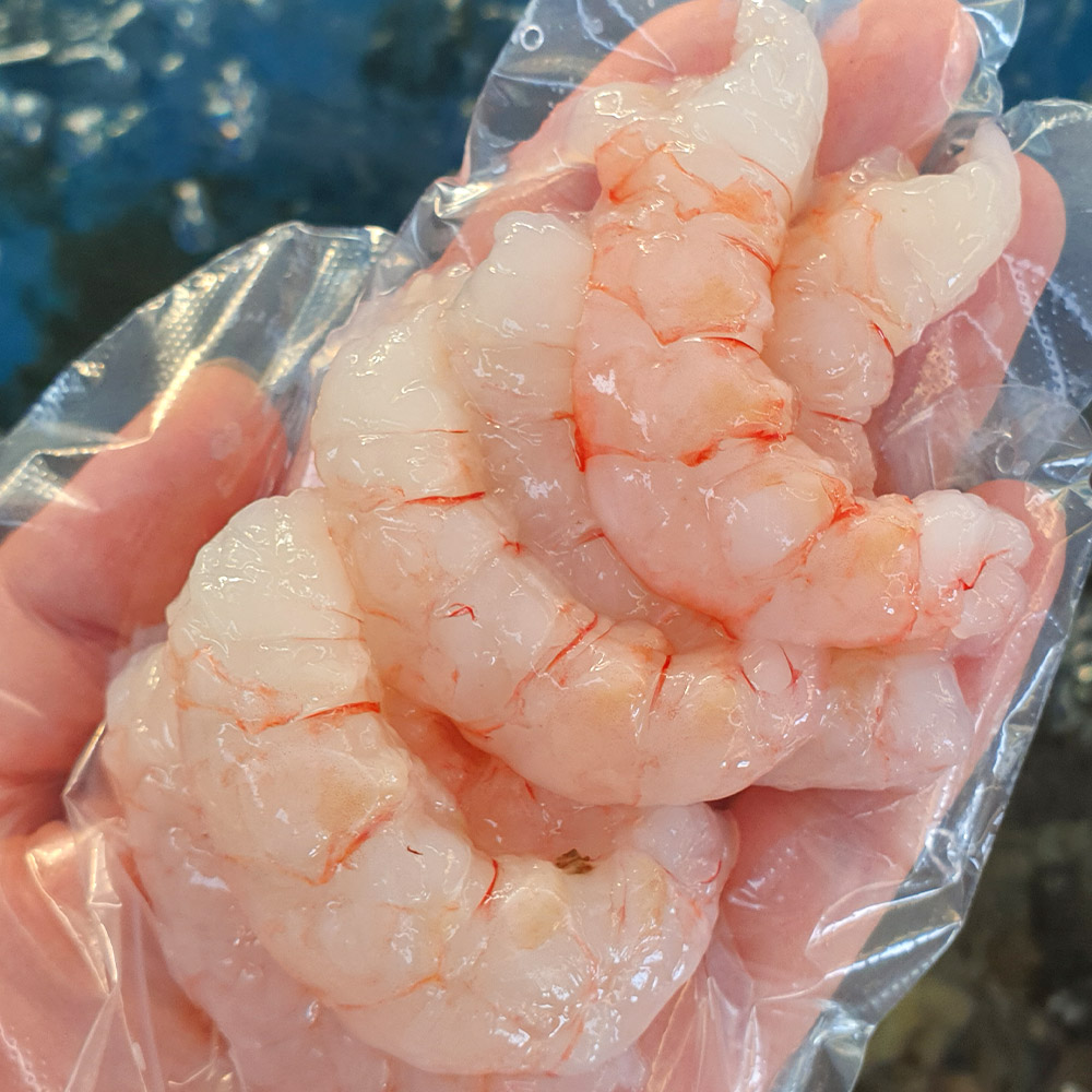남해 자연산 깐 새우살 500g 국내산 손질완료 급속냉동 산지직송 해녀언니