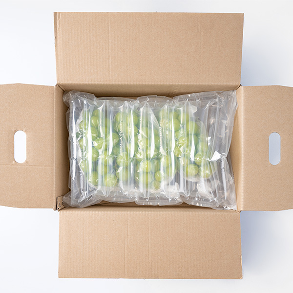 [오커최고] 국내산 샤인머스캣 샤인머스캇 1kg 2kg