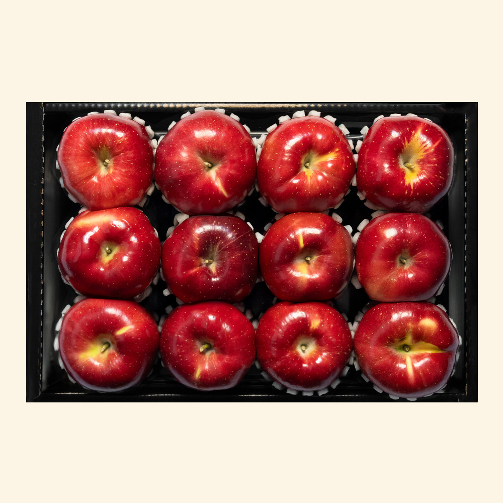 사과 추석선물 세트 3kg 10-14과 프리미엄 과일선물 명절선물 LD